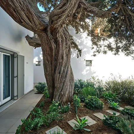 Private Luxury Scarlet Beachfront Villa, Molos, Paros ヴィラ Molos (Paros)